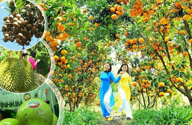 Kinh Nghiệm Du Lịch Cần Thơ Từ A Tới Z Du Lịch Cần Thơ