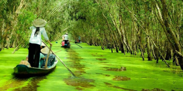 Khám Phá Châu Đốc An Giang