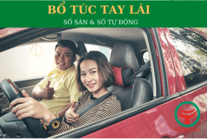 Học Lái Xe Dễ Dàng Hơn Với Dịch Vụ Thuê Xe Tập Lái Cần Thơ