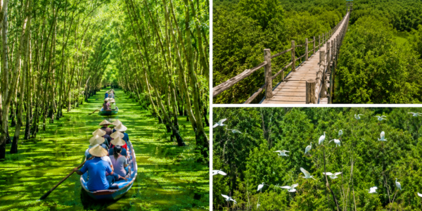 du lịch rừng tràm trà sư
