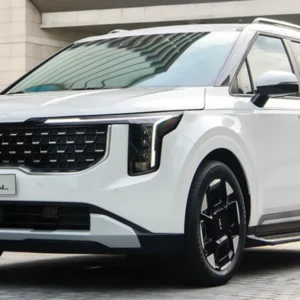 Thuê Xe Kia Carnival Cao Lãnh